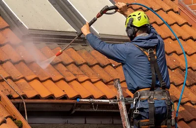 Démoussage et hydrofuge de toiture à Aleu